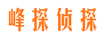 静海市婚外情调查